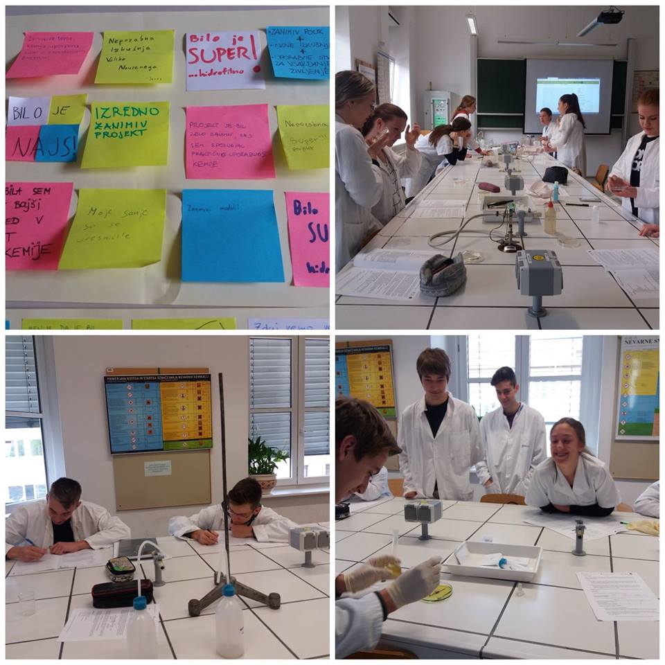 StemForYouth photo