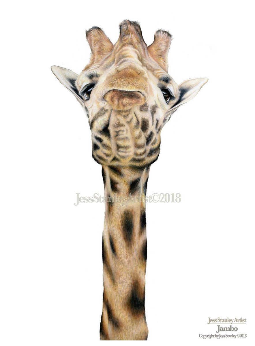 Jess Fox artist (@jessstanleyart) on Twitter photo Jambo is now scanned. Prints are now available to order. They will make great christmas presents for any wildlife adorer!
original is available too.
framing can be arranged.
worldwide shipping.
please email me at petportraits@jessstanleyartist.co.uk <a href="/CansonPaper/">Canson</a> <a href="/FaberCastell/">Faber-Castell</a> Jambo is now scanned. Prints are now available to order. They will make great christmas presents for any wildlife adorer!
original is available too.
framing can be arranged.
worldwide shipping.
please email me at petportraits@jessstanleyartist.co.uk <a href="/CansonPaper/">Canson</a> <a href="/FaberCastell/">Faber-Castell</a>