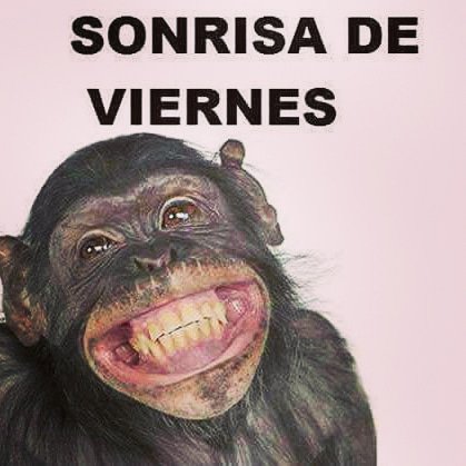 huevardococol's tweet photo. #BuenViernes https://t.co/MSIDQFhYjn
