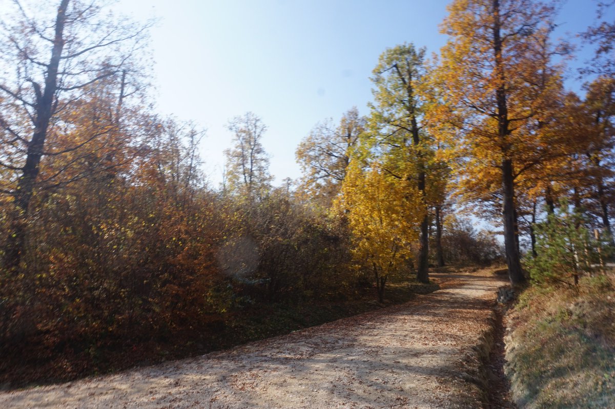 LibeartyBears's tweet photo. Amazing views at @LibeartyBears ! Come visit the bears and check out the wonderful autumn colors! #amazingviews #animalrescue #besttrip #helpthebears https://t.co/eu5qSltPvK
