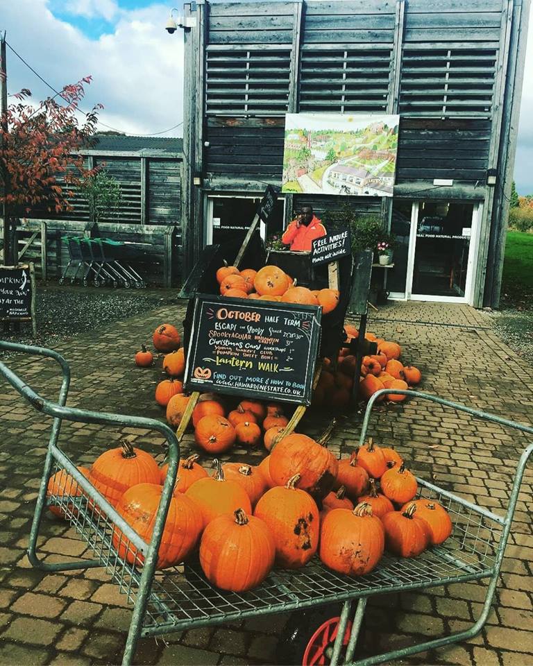 Betts Associates Ltd tweet media