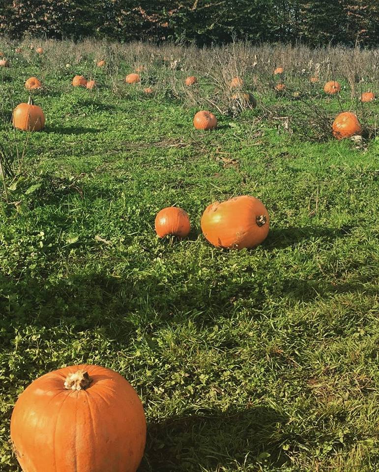 Betts Associates Ltd tweet media