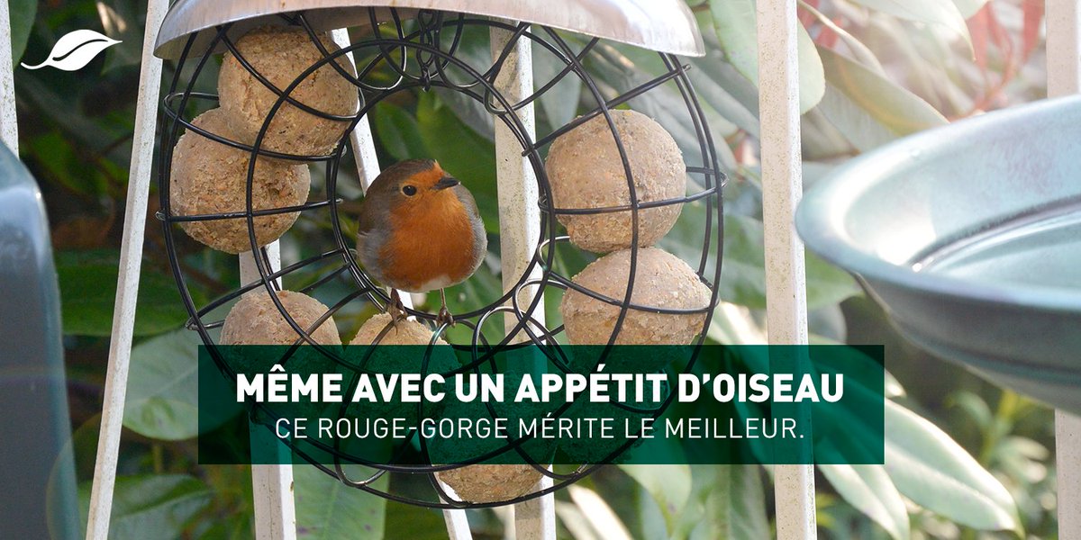Botanic On Twitter Cet Hiver Chez Botanic Nous