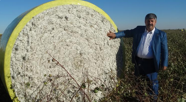 Şanlıurfa pamuğu çözüm arıyor Türkiye pamuğunun yüzde 47’sinin üretildiği Şanlıurfa’da çiftçinin pamuğunu satamaması ve piyasanın altında fiyatlandırılması çiftçiyi zor durumda bırakıyor. Sorunun nedenleri ta urfaobjektif.com/sanliurfa-pamu…