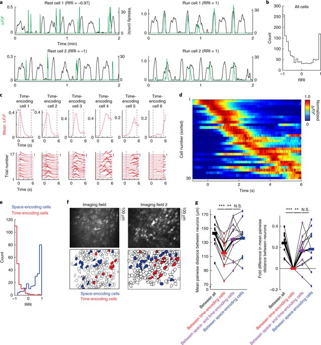 Nature Neuroscience tweet media