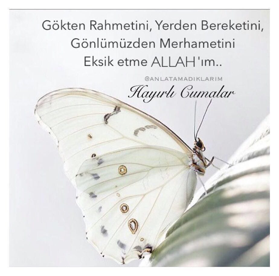 TamerEmel's tweet photo. hayırlı cumalar https://t.co/Qo5gOxQWoN