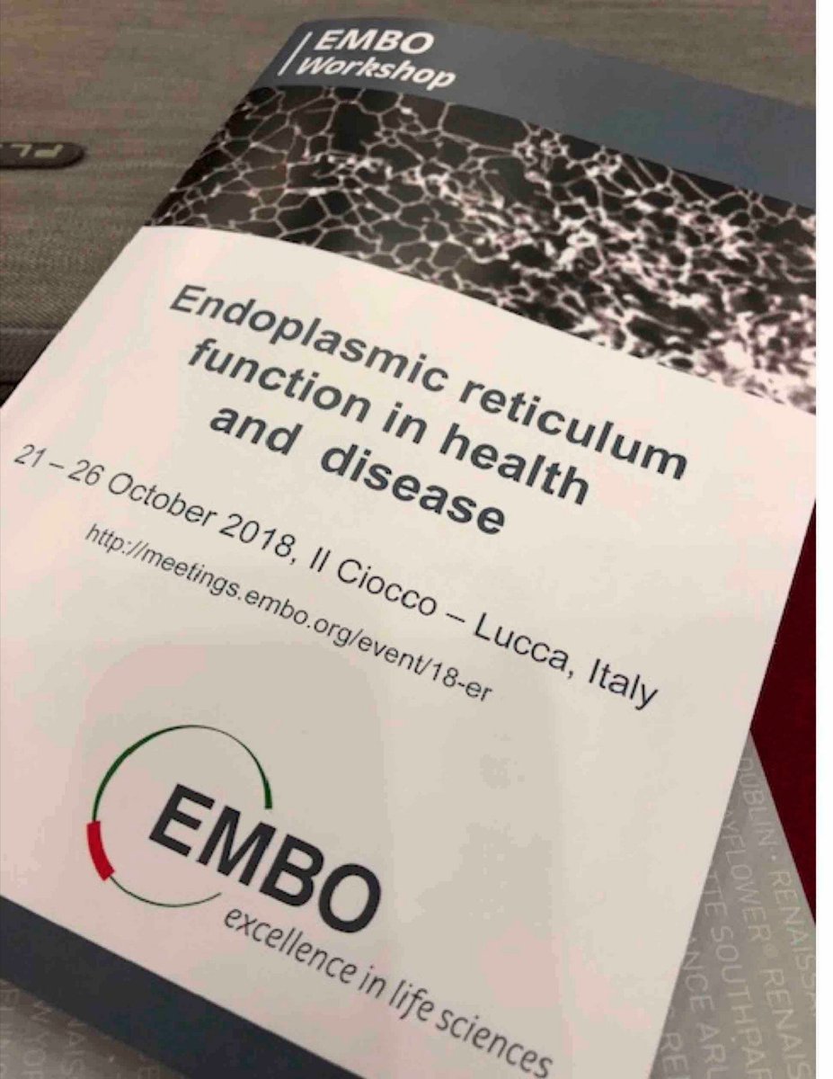 BeeCurieous's tweet photo. On my way to Florence for the weekend after a great week at the #EMBOerfunction workshop in Lucca. Met super nice people, definitely learned a lot and got inspiration for my new project in #cellbiology #straybiophysicist #PhDchat https://t.co/kZqk7qmm4i
