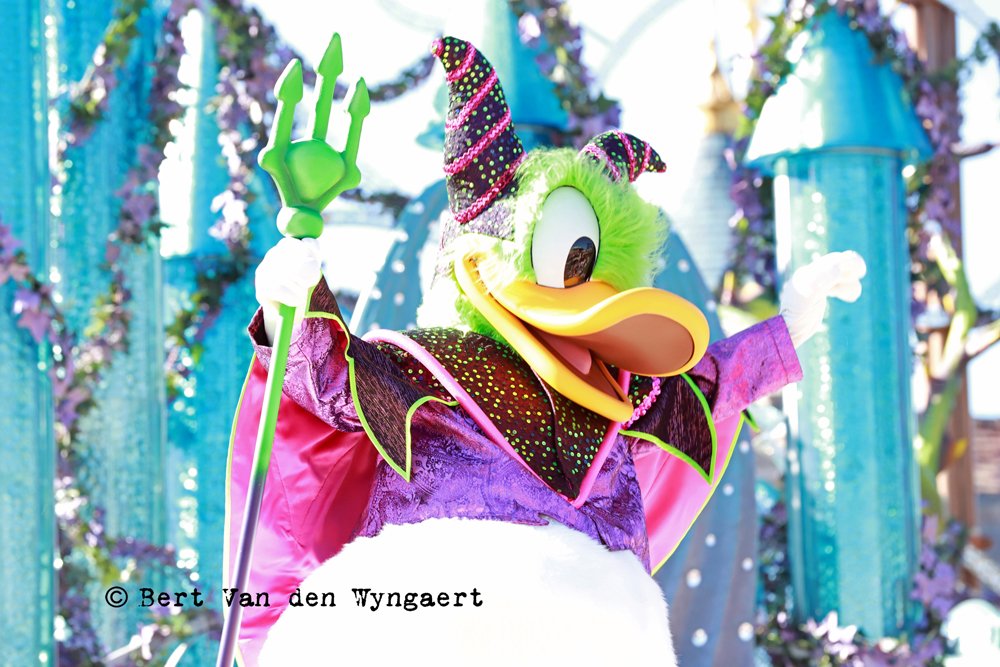 Berttakesphotos's tweet photo. #DonaldDuck is a star but he's also one of the most trusted sidekicks of Mickey Mouse. So here's a photo of him for day 26 of #fallintodisneystyle / #Disney @DisneylandParis #Halloween #travel @DisneyBE #dailyphoto #photography #travel #photooftheday https://t.co/95AGfyrc4s https://t.co/brnmrZ9RRr