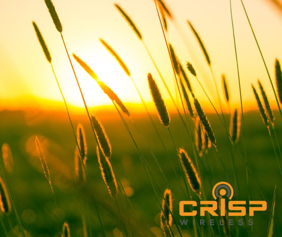 Crisp Wireless tweet media