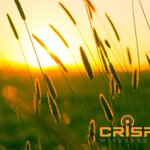 Photo by Crisp Wireless (@CrispWireless)