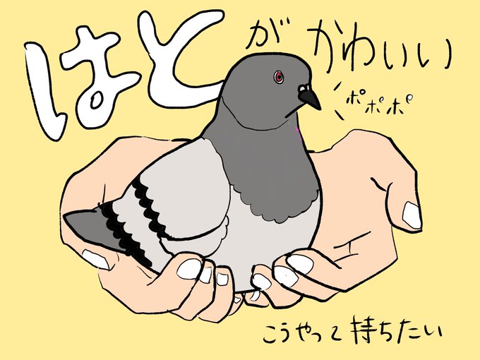 最高鳩 可愛い イラスト ディズニー帝国 最高鳩 可愛い イラスト ディズニー帝国