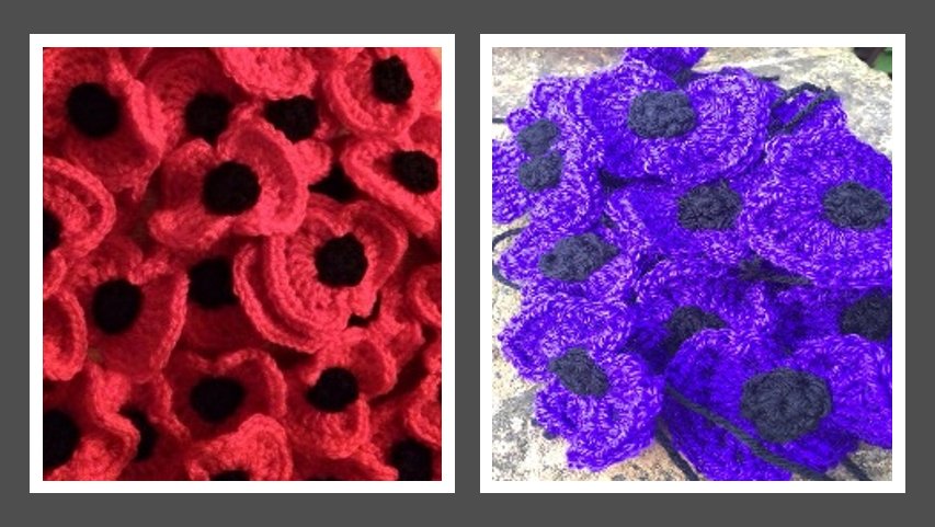 ECECleaning's tweet photo. Happy Friday to you all. We have been busy crocheting Poppy’s to sell. Did you know that the purple poppy commemorates animal victims of war 💜. All money received, will be donated to The British Legion
# remembrancesunday #poppy #poppies #ecegroup #charity #Thebritishlegion https://t.co/npUiRYe4NF