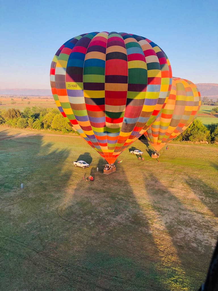 zama mlungwana tweet media