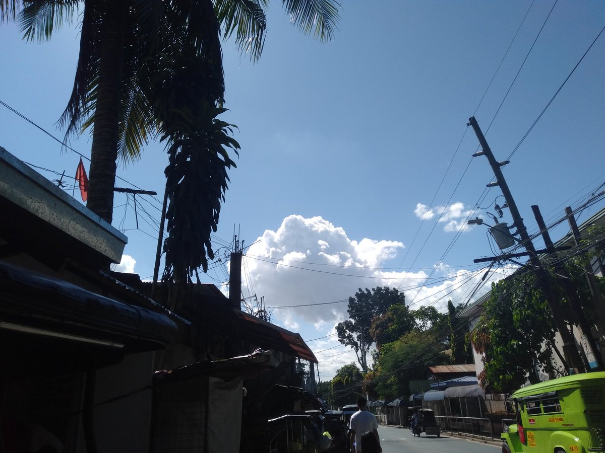MarvicLoves's tweet photo. Afternoon walking no filter. https://t.co/VLSVSQxijf