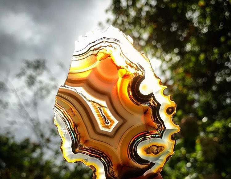 conscious_water's tweet photo. Sunlight is such a beautiful and powerful force! We harness sunlight in order to create our flower essences: handpicked flowers float in water, in a crystal bowl, allowing the light of the sun to transfer the vibrational energy of the plant to the water [📷: @crystal_lion_gems] https://t.co/GC3URqNZhA