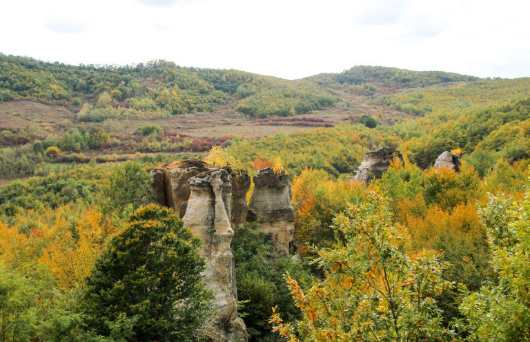 cityoftheweek's tweet photo. Beautiful #Salaj County Highlights - take a walk in the Garden of Dragons or explore the Jibou Botanical Gardens with this one-day itinerary: https://t.co/REvVB6kHwZ #Romania #visitRomania #ttot #travel #europe #Transylvania https://t.co/KEbFxMsfNL