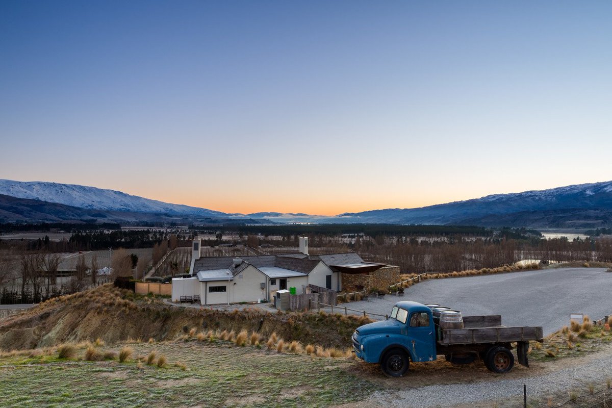 Specialist Cellars tweet media