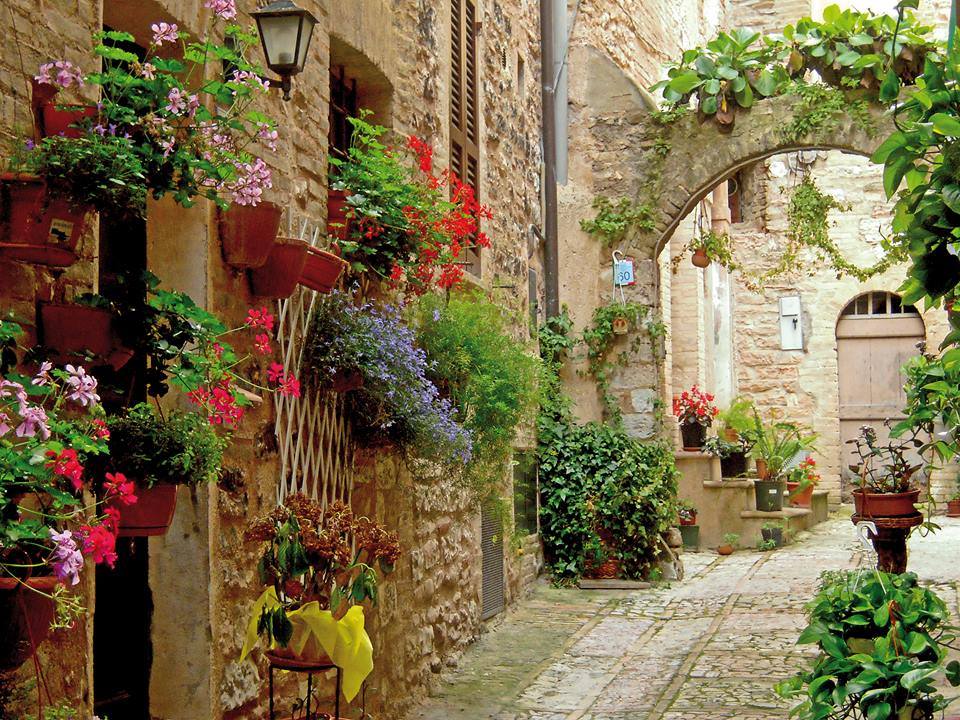 UmbriaMusei's tweet photo. #TrekkingNelBorgo
#Bettona #Montefalco #Spello o #Trevi? 
Hai solo l'imbarazzo della scelta per una domenica di trekking urbano all'insegna di storia e tesori nascosti.
Cerca gli appuntamenti al link e prenotatevi:
https://t.co/0MwqszfnNu
#Savethedate #28ottobre #UmbriaTerreMusei https://t.co/sZLiZIETH7