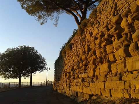 UmbriaMusei's tweet photo. #TrekkingNelBorgo
#Bettona #Montefalco #Spello o #Trevi? 
Hai solo l'imbarazzo della scelta per una domenica di trekking urbano all'insegna di storia e tesori nascosti.
Cerca gli appuntamenti al link e prenotatevi:
https://t.co/0MwqszfnNu
#Savethedate #28ottobre #UmbriaTerreMusei https://t.co/sZLiZIETH7