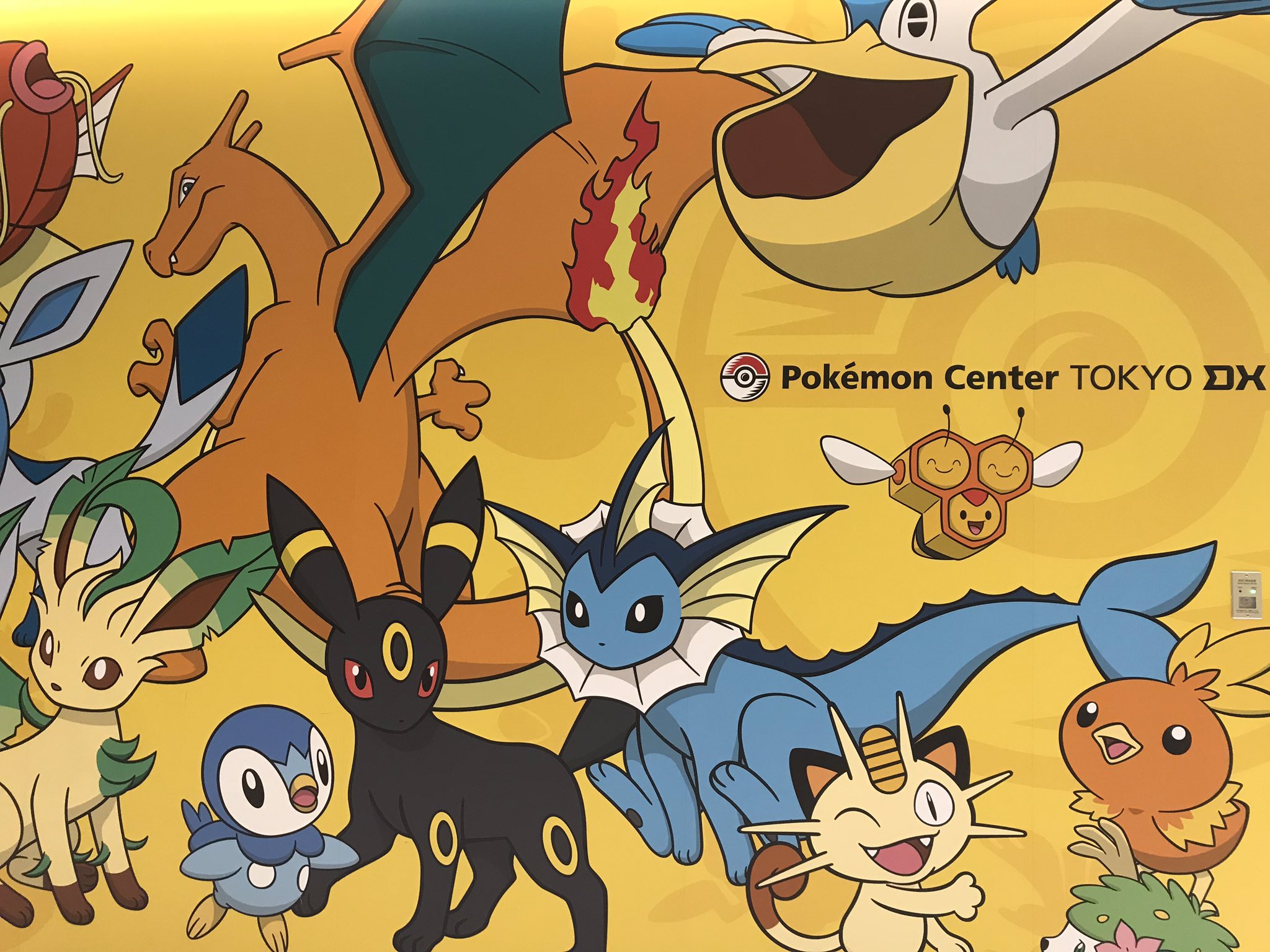 百々 Twitterren ポケモンカフェとポケセンdx行って来ました 一面ポケモン絵の廊下が良かったです ヤドンもいたし ところでブイズや御三家に紛れてキャモメ Amp ペリッパーだけ進化系でいたのですが 人気あるんですね T Co H1qvpa7yzn Twitter