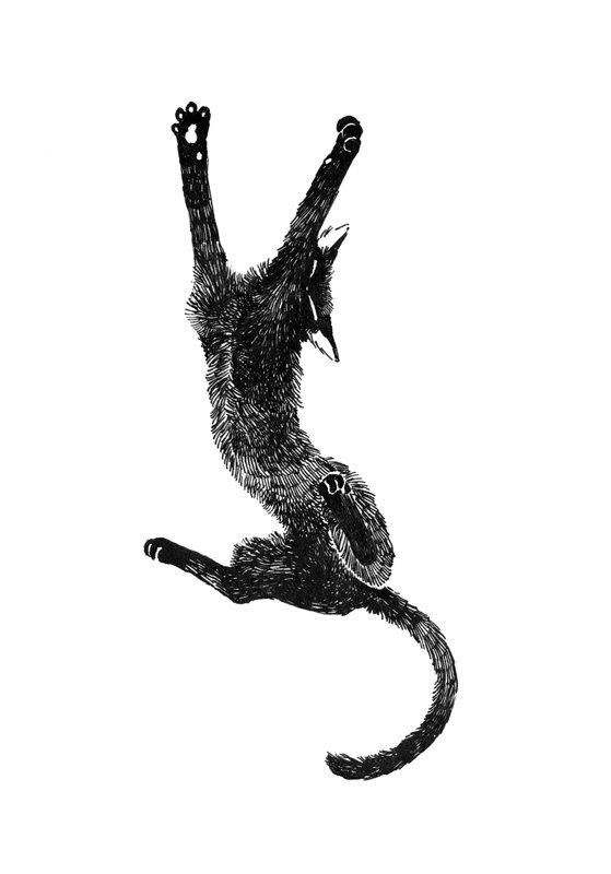 hrcha1010's tweet image. #inktober #inktober2018 Day 26; Stretch