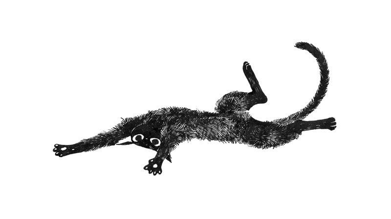 hrcha1010's tweet image. #inktober #inktober2018 Day 26; Stretch