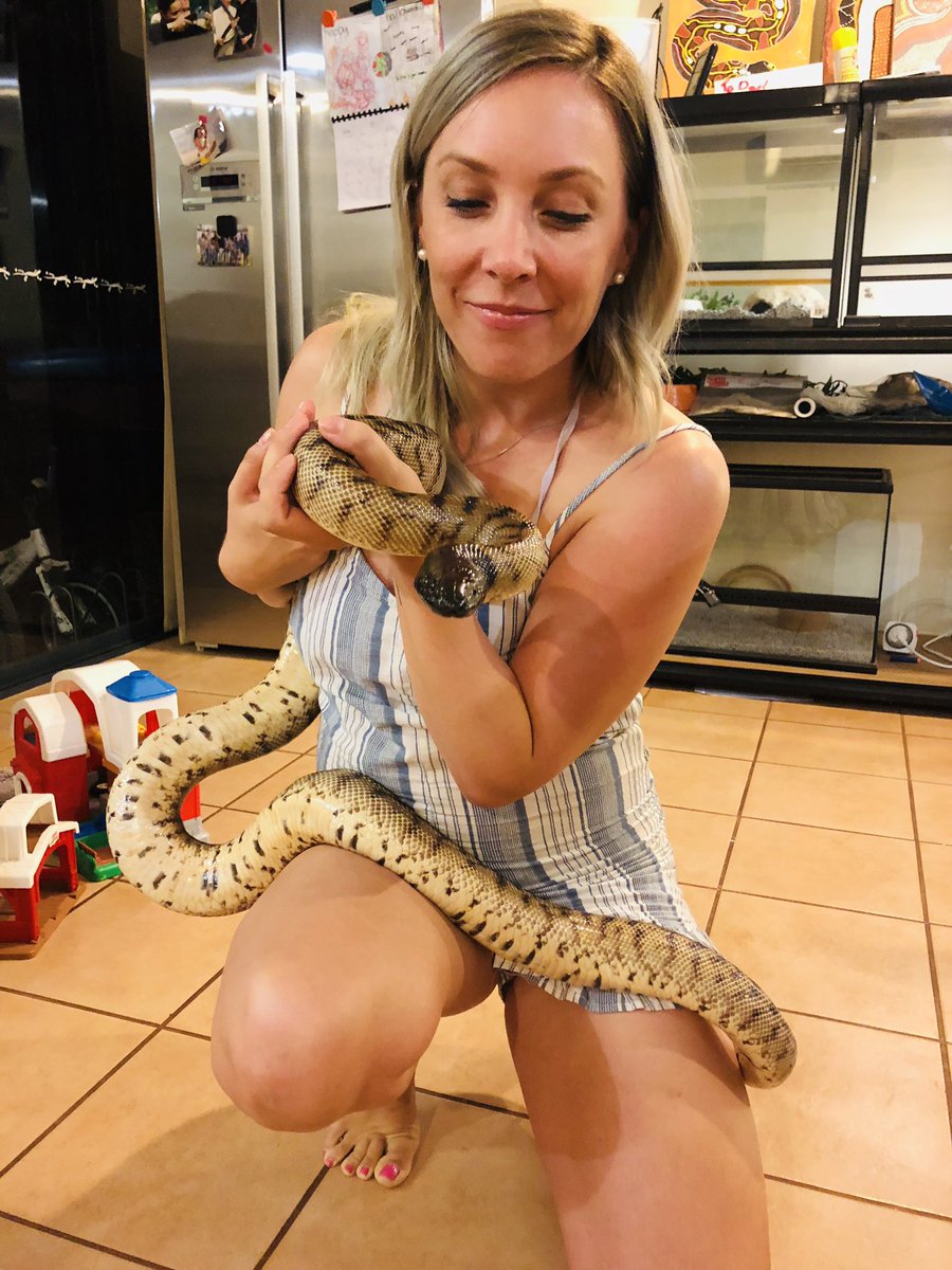 Rep_tales's tweet photo. Oh Bob 😍 I’ve missed this spunk! #blackheadedpython https://t.co/32FVsfy1C8