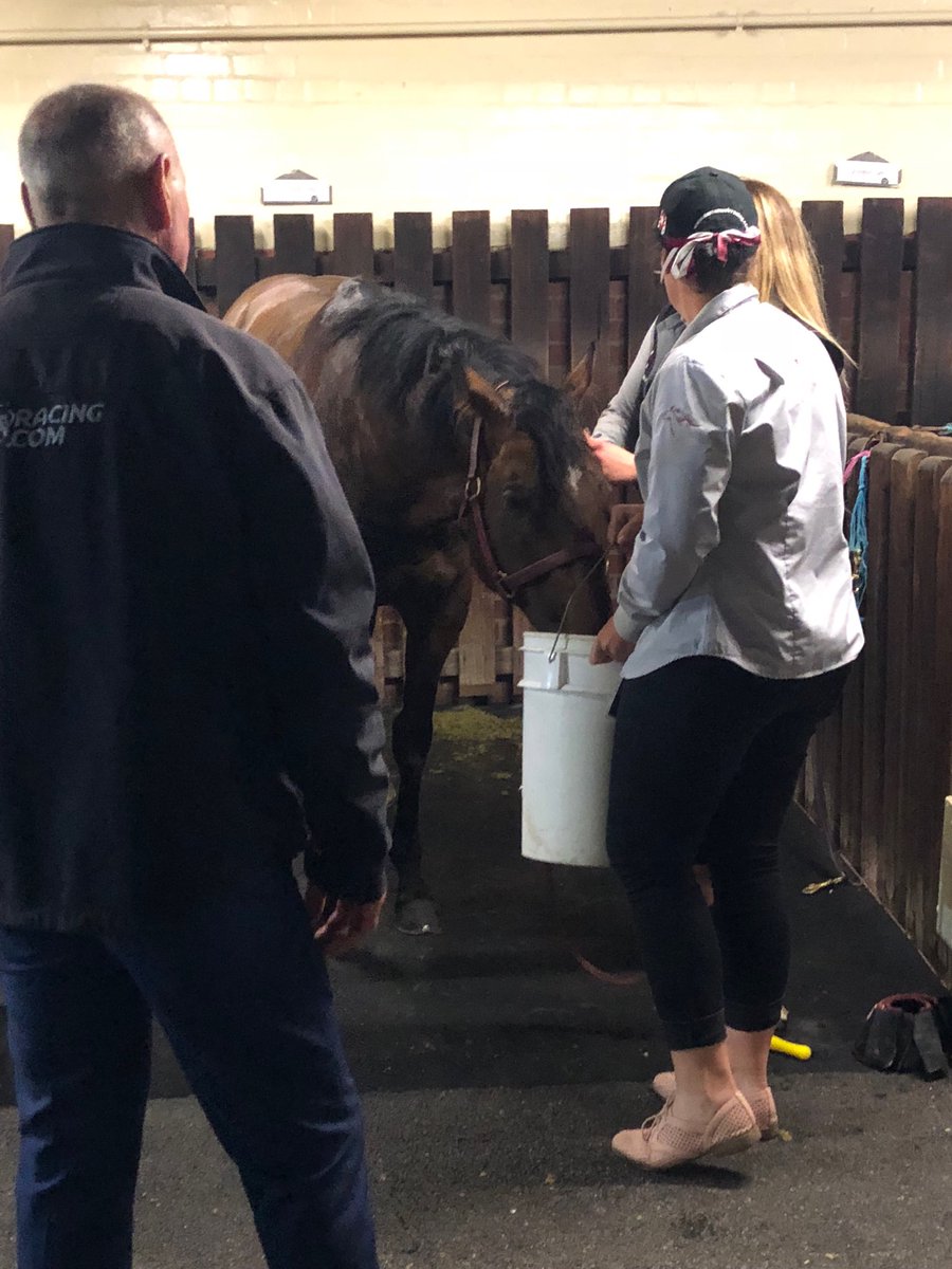 octagonal1's tweet image. ブレイブ、よく頑張ったな！ #ManikatoStakes