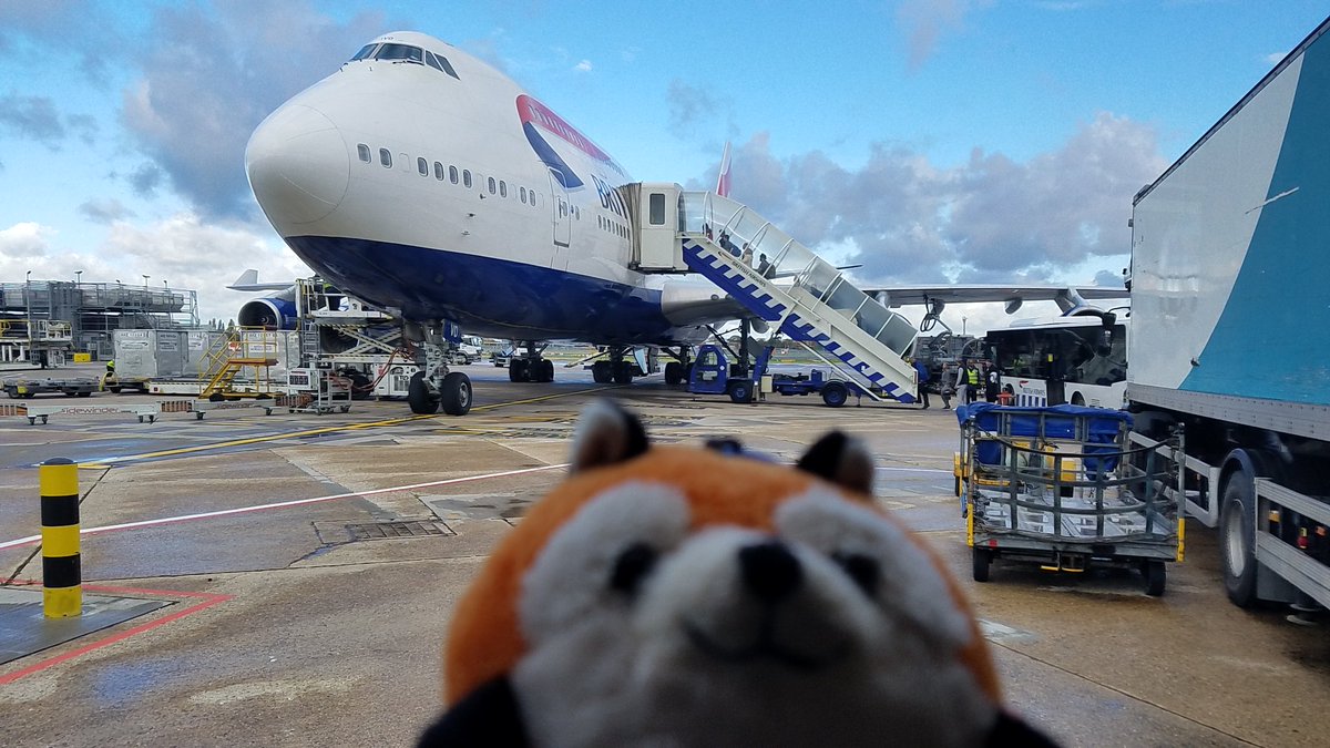 a plush fox with a British Airways 747-400 on an airport ramp