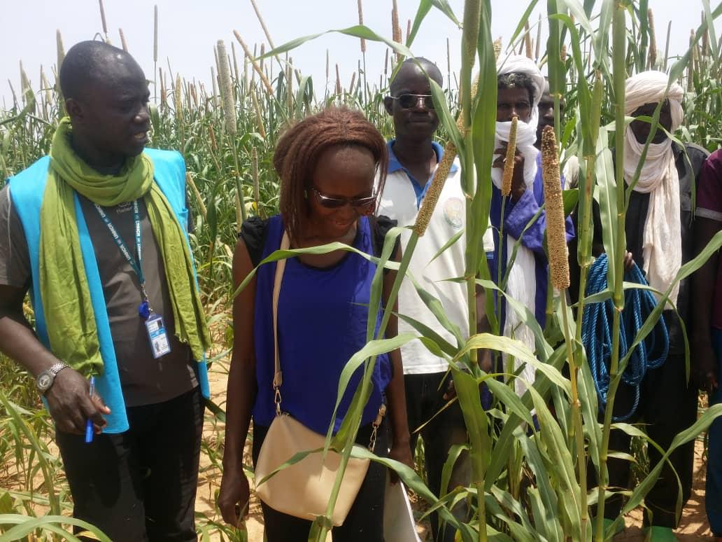 BenedicteToe's tweet photo. De belles récoltes en perspective pour ces #refugies du Nord du #Burkina grâce à l'appui du @UNVolunteers Amos Medah du @UNHCR_BF!!you're really #Inspiration_in_action. Bravo @UNVBurkina @UNV_ROWCA @UNVenture #Lwili @saahawo @ https://t.co/BZWYOsQ9G5