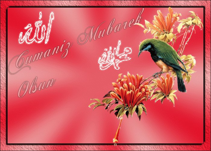 🇹🇷ADMINCHTHSGR🇹🇷 (@cahithosgor) on Twitter photo 