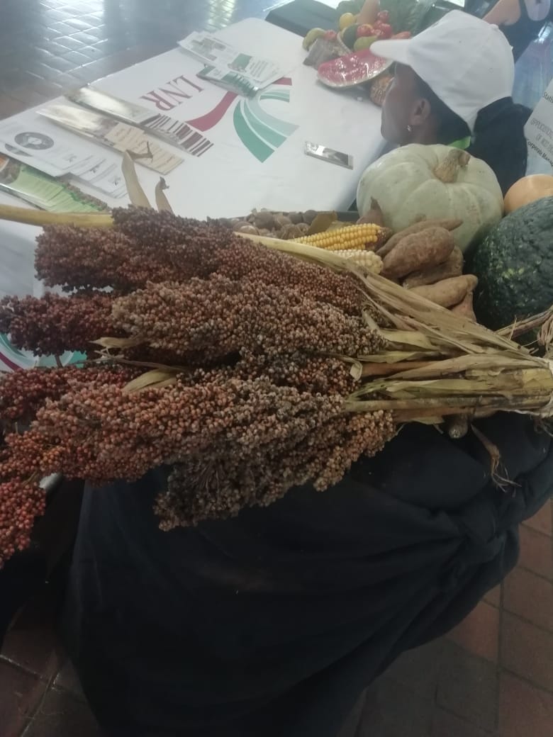 ARCSouthAfrica's tweet photo. The ARC was part of the University of KwaZulu-Natal's (College of Agriculture, Engineering and Science) Postgraduate Research & Innovation Symposium (PRIS). ARC attend the event to view the research, exhibit our offerings as well as judge the submissions. #pris2018 https://t.co/0agnOQUd5T