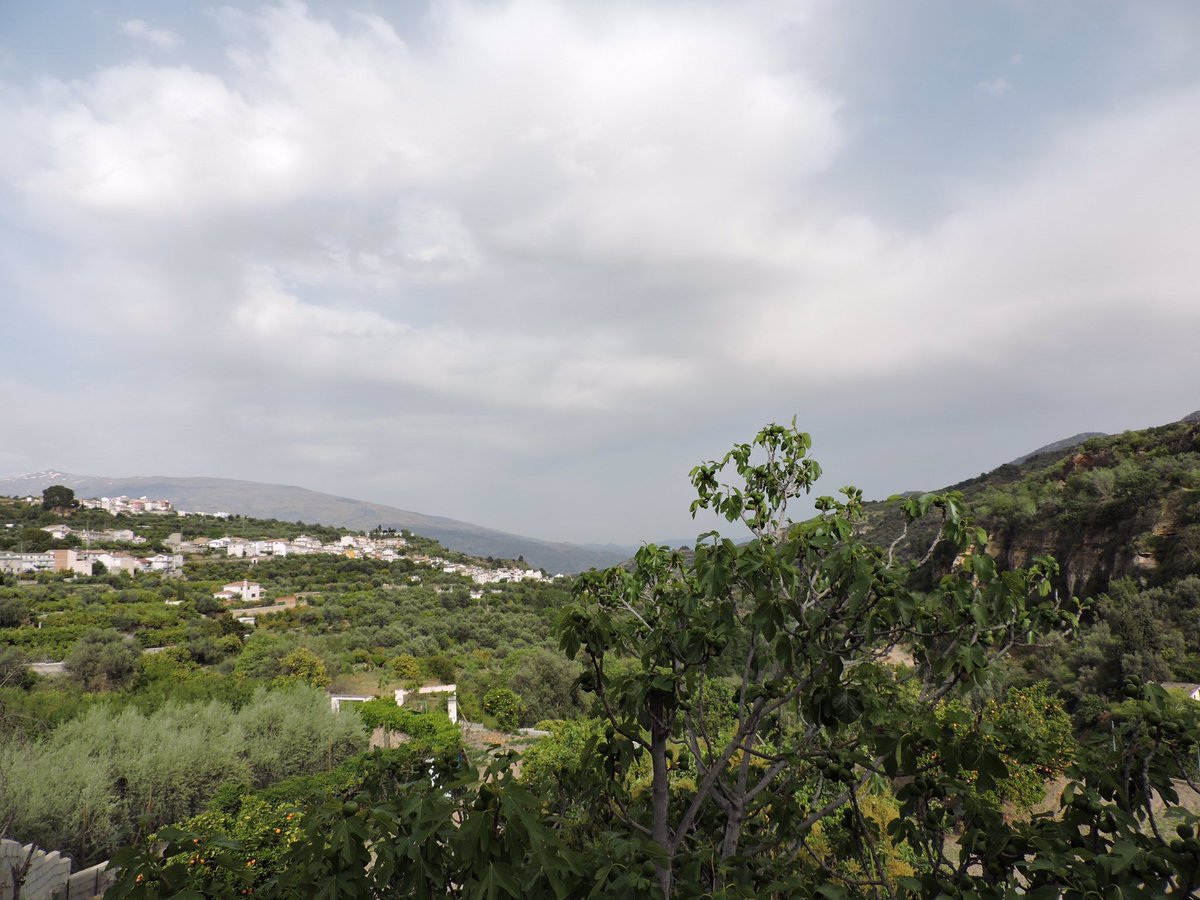 Caminando entre cítricos e historia: #Albuñuelas. #pueblosdelValledeLecrín #otoñoenelValledeLecrín #WeloveValledeLecrín