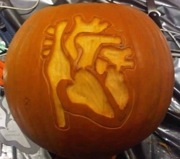 TheBHF's tweet photo. Forget pumpkin recipes…we’re all about the pumpkin carvings! And we reckon this one trumps them all #NationalPumpkinDay https://t.co/xv3G0ZP8qG