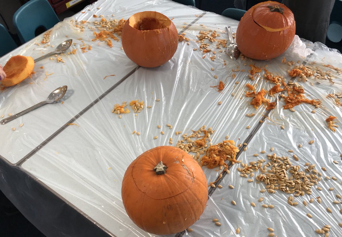 gylemuirprimary's tweet photo. Primary 2b @gylemuirprimary did some pumpkin 🎃 carving today with Mr Christie. Everyone did a fabulous job scooping out the pulp, designing their spooky face and making a mess. #halloween #spookyfaces #artsandcrafts #edinburghschools https://t.co/AftRFiEmUD