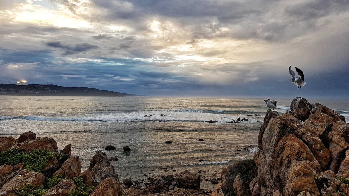 gotravelbug's tweet photo. The beautiful #gardenroute My home my life #FridayFeeling
@ExploreKnysna @WildernessZA @VisitSA_UK @taraturk1 @AnjeRautenbach @Monique_PR_ @DoroLef @travelopulent @GoSocialSA @MzansiGirl @DiBrown5 @deoudehuize @nandimgwa @THEnosyRosy @Frenchtouropera @thejaxblog https://t.co/ylZcKC841z