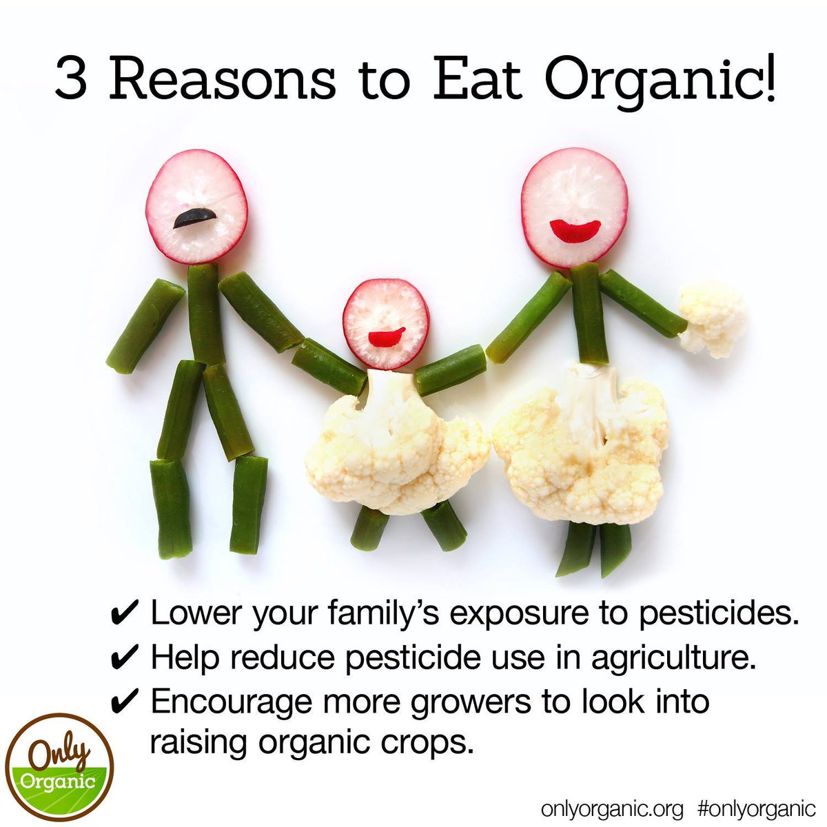 onlyorganic's tweet photo. We’ve listed three but there are so many more! https://t.co/Vm7hcsWl4Q #goorganic #organicfood #organicfarming https://t.co/sbp9THXV0h