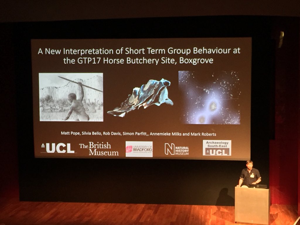 PGarciaMedrano's tweet photo. @MatthewPope at the @britishmuseum giving an amazing talk about the #GTP14 of #Boxgrove, a horse #butcherysite!! Details on #lithics, #kappingstrategies, spatial distribution, #refits and much more! #PalMes2018 #Acheulean @UCLarchaeology https://t.co/ytfTiDVuAS
