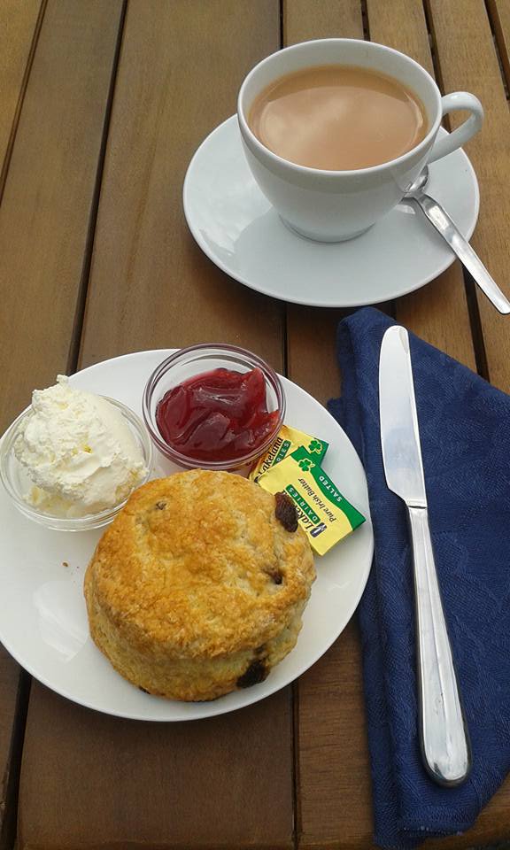 Join us at The Weir with Classic Cakes Herefordshire who will once again be offering Herefordshire cream teas and a selection of home baked cakes this Saturday and Sunday.  For further information, please call us on 01981 590509. Normal admission prices apply.