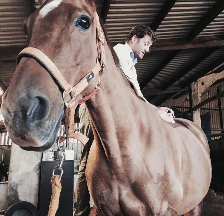 ERTherapyCentre's tweet photo. We are delighted to be welcoming FEI VET Dr Marvin J.Firth on 30th OCT  - PRIVATE CONSULTATION SESSION - APPROX 40 MINS
Horse assessment &amp; treatment including CHIROPRATIC &amp; ACUPUNCTURE / LASER
Session Fee: £150 per horse
Contact Equine Rebalance Therapy Centre on 07949623402 https://t.co/0wPDugrfoy