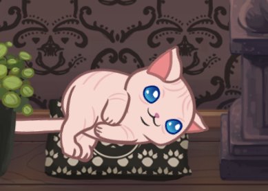 flutterholic's tweet photo. Cute Ramses 😍 #furistas https://t.co/9Kf0nhwn9F
