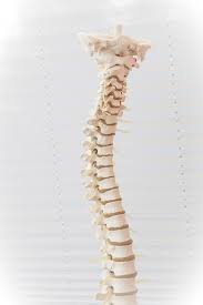 InsightImed's tweet photo. #Spinal #Brucellosis was a kind of #spineinfection that occurred in the #spinaljoint space or the surrounding #tissues of spine.The illness triggered #inflammation that present in #spinalintervertebral discs known as #BrucellarSpondylitis.For more vist https://t.co/k1VOFvLBjT https://t.co/POGLLAd5wZ