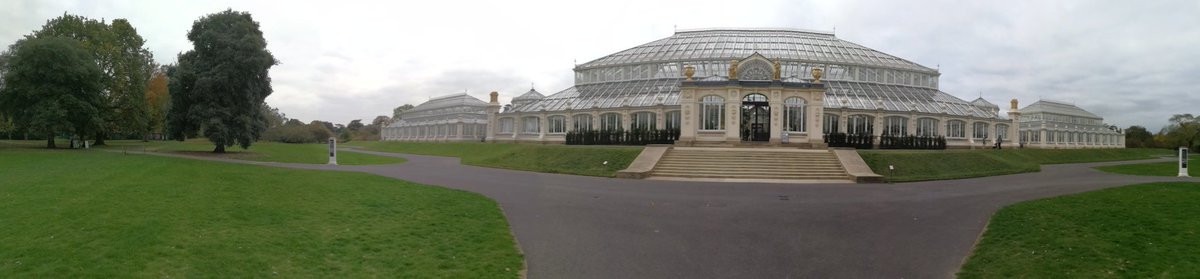 NicholasCatahan's tweet photo. @kewgardens #exploring &amp; #learning at this most #wonderful #inspiring #place again. Ever so excited to have met Helen Miller @bgci to discuss #BGCI project links &amp; #PlaceManagement #PlaceDevelopment of #BotanicGardens new research project @edgehill @EHU_Business @EHU_Research https://t.co/wopeVk49tu