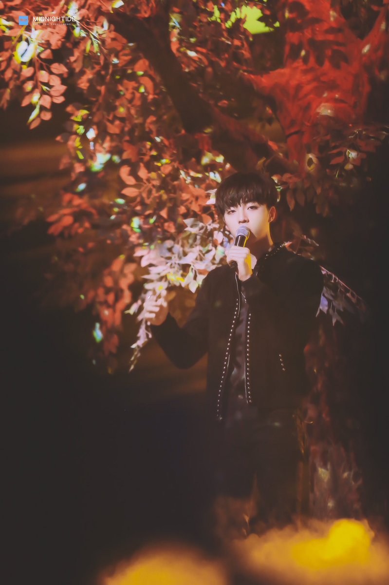 WithLinong's tweet image. LOVE THIS SET OF PHOTOS SO MUCH ❤️🍂