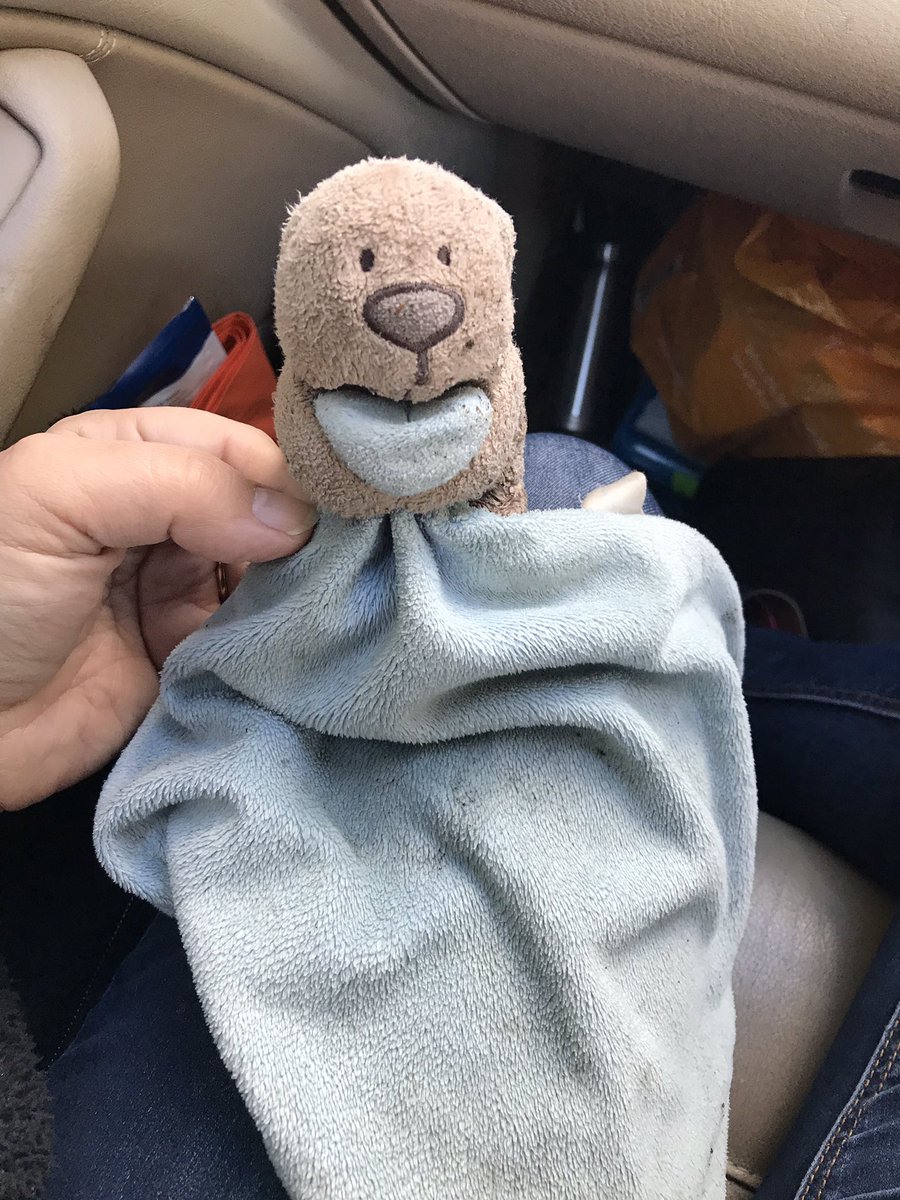 lisa_desouza's tweet image. #lostandfoundclacketlaneservices I know how upset my kids would have been! Found in the car park at #clacketlaneservices 26/10/18 #lostcomforter