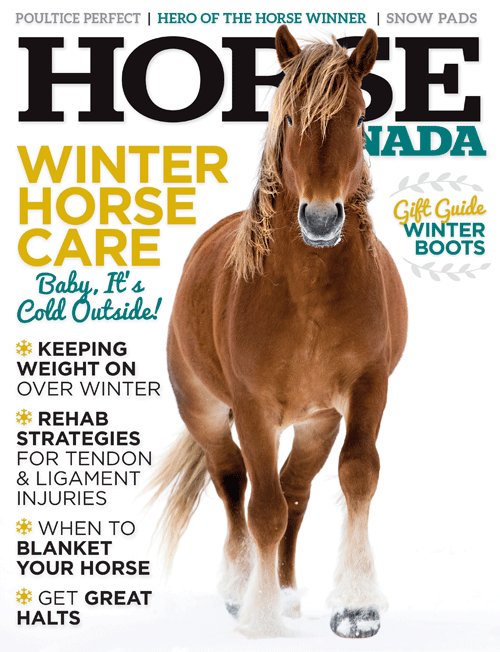 You won't be able to miss our newest issue on the newsstands. Just look at that handsome fellow! Get your copy of the Nov/Dec issue for articles on winter horse care, tendon and ligament injuries, a winter boots gift guide and to find out who won our 2018 Hero of the Horse Award