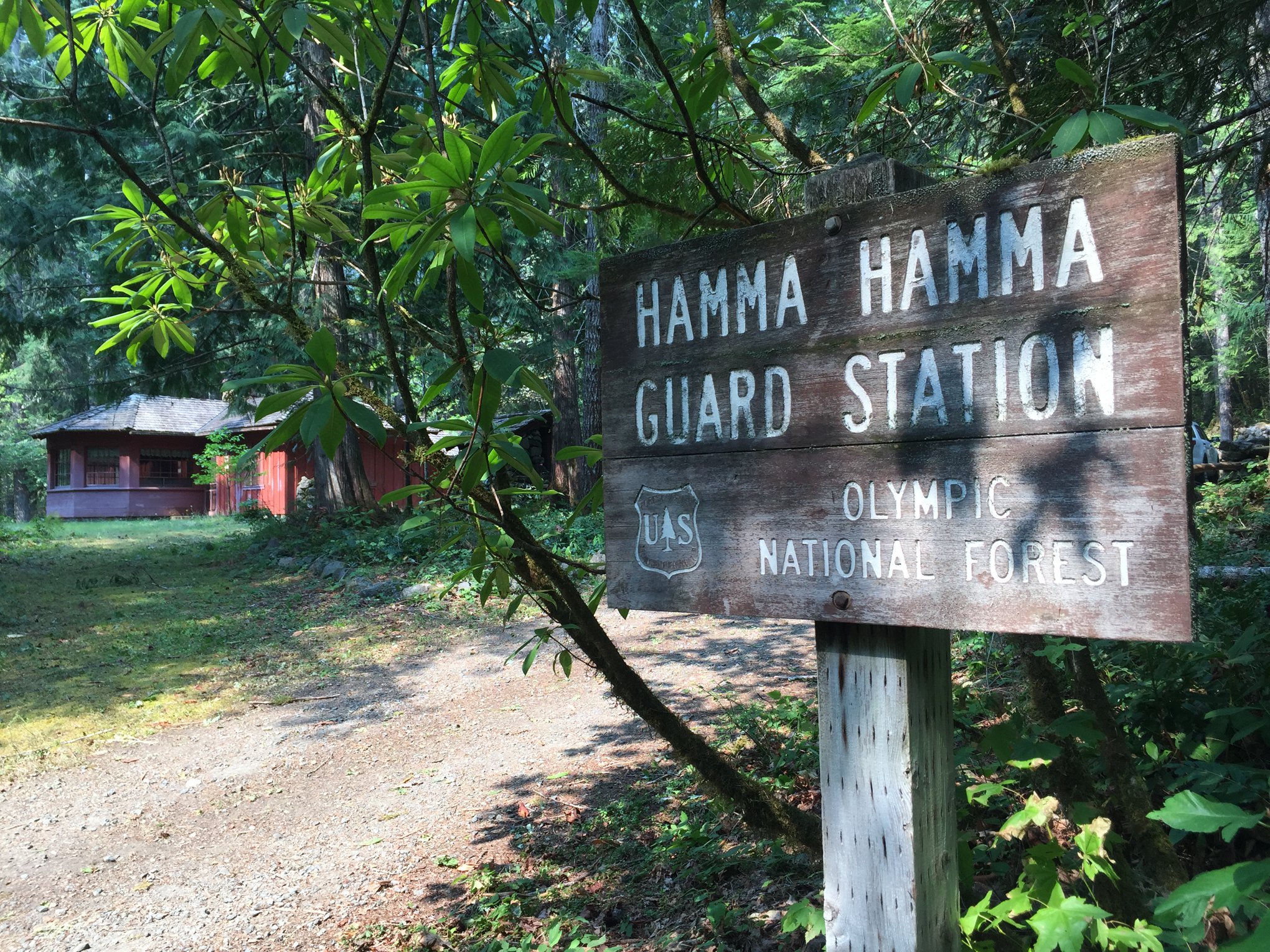 Olympic Forest On Twitter The Historic Hamma Hamma Cabin Is