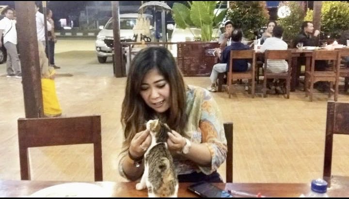 meutya_hafid's tweet photo. Ketemu kucing kecil lucu tadi. Manja dan ajak main. Nampaknya hidupnya tak terganggu hingar bingar politik. Ndak kayak twitter yang panas terus 😌 https://t.co/NKJshv6aLz
