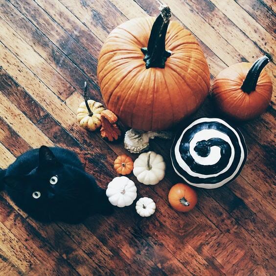 Crystal_Inns's tweet photo. “There’s a contest a brewin on our Instagram”

https://t.co/uB9UNyCWyZ https://t.co/vwYnjDfzzT