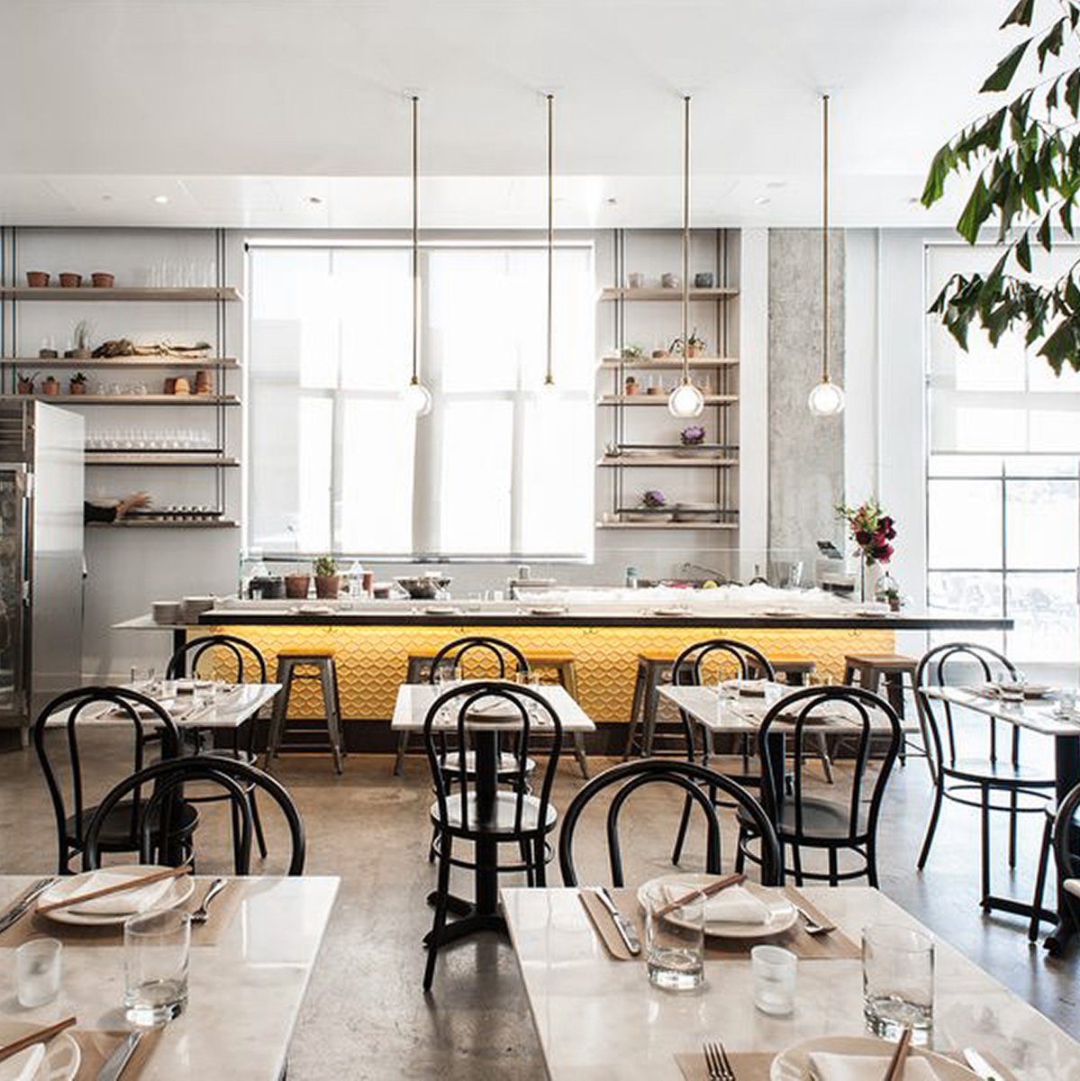dsnfrm's tweet photo. Santa Monica has no shortage of out-of-this-world eateries and Cassia tops our list.

@dinecassia #santamonica #cassia #interiordesign #design #contemporary #architecture #commercialfurniture #commercialgrade #commercialdesign #midcentury #dsnfrm https://t.co/1hAh37Ajyl